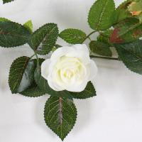 uploads/erp/collection/images/Home Garden/CongDing/XU0612067/img_b/XU0612067_img_b_4